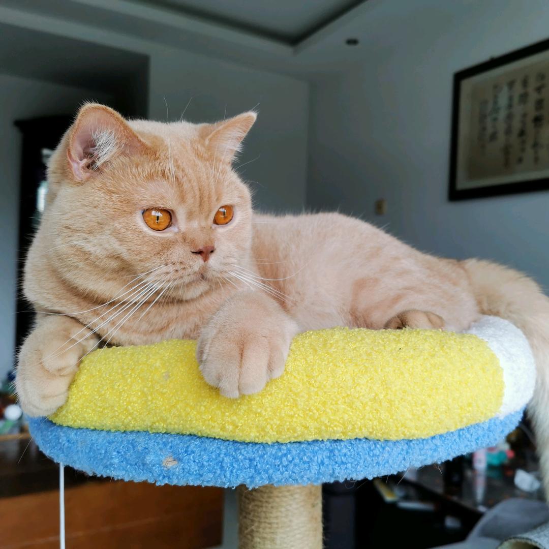 松松好吃