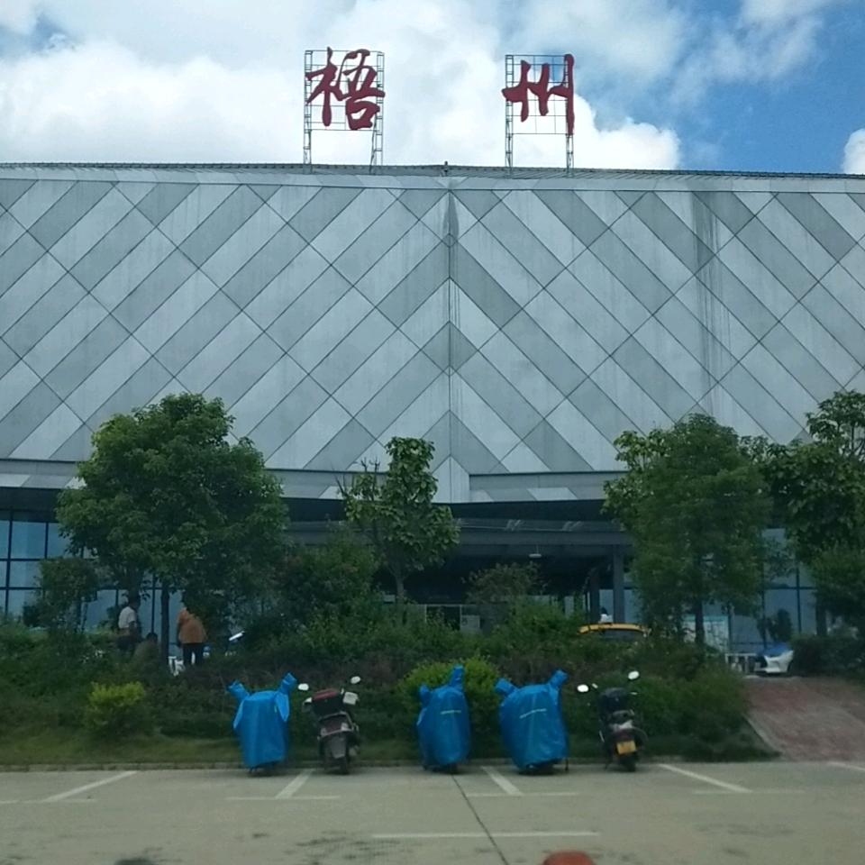 @木子何为🐬