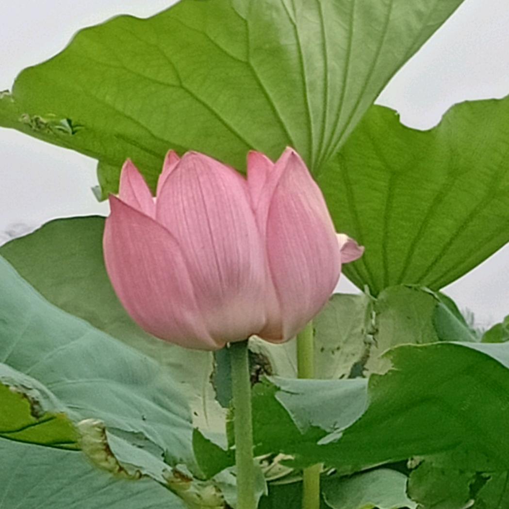 涓涓流水