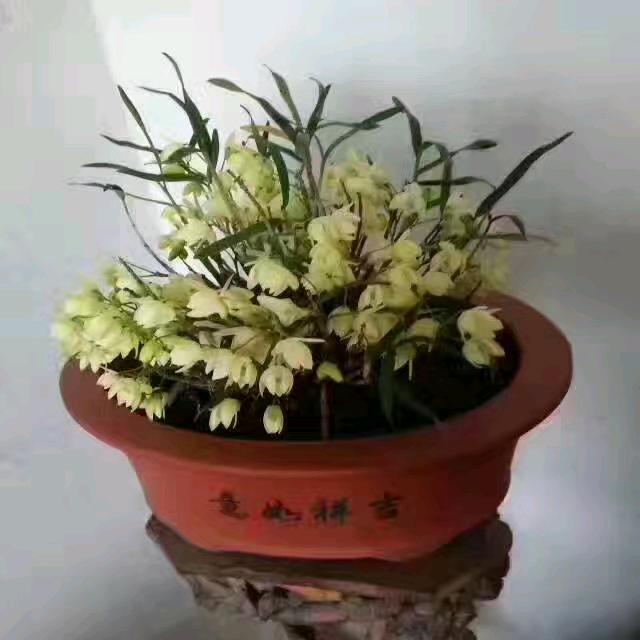 梦想
