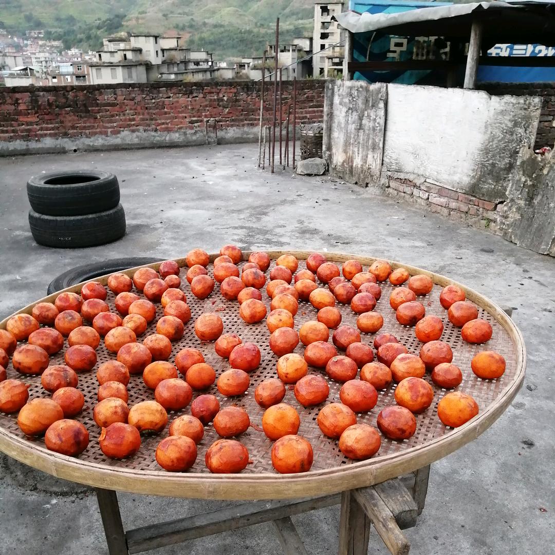 八马归巢