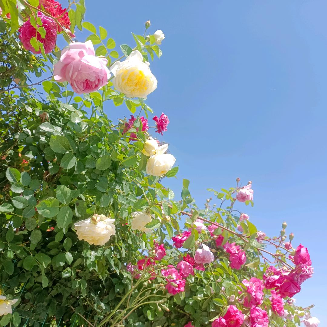 生活不易