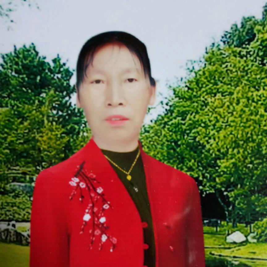 自由自在