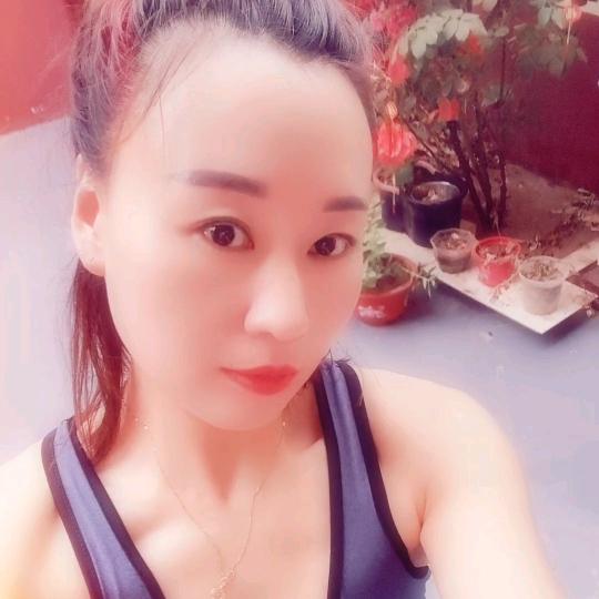小燕子