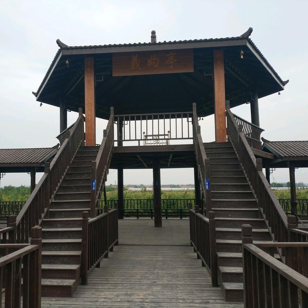 抖河东