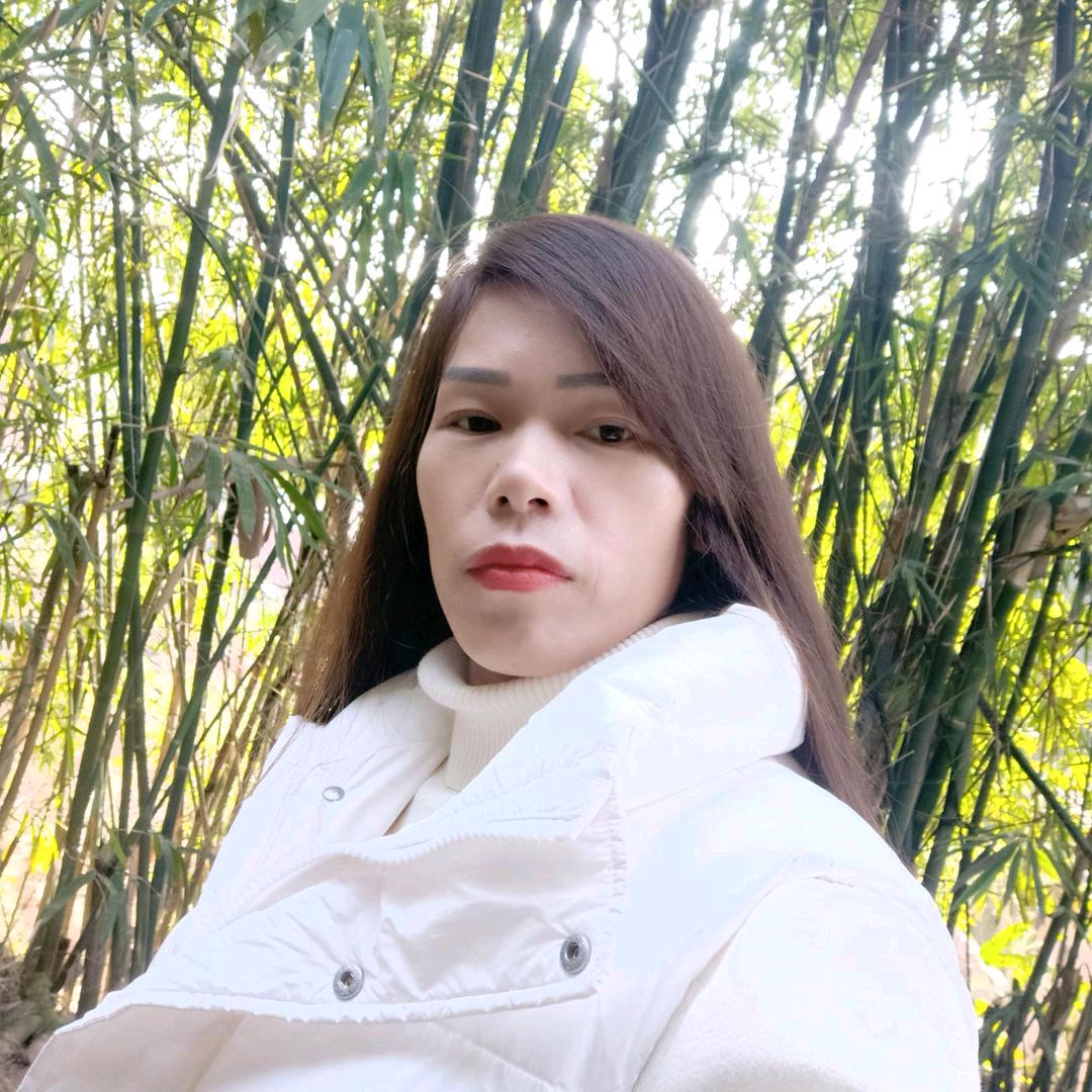 数码科技511