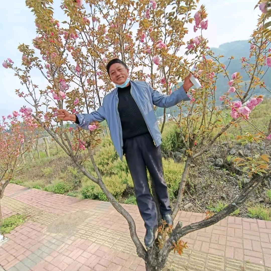 爱隔山海（王明寿）