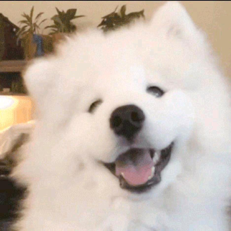 第一张照片