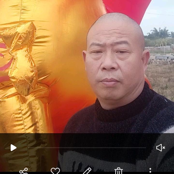 东山再起