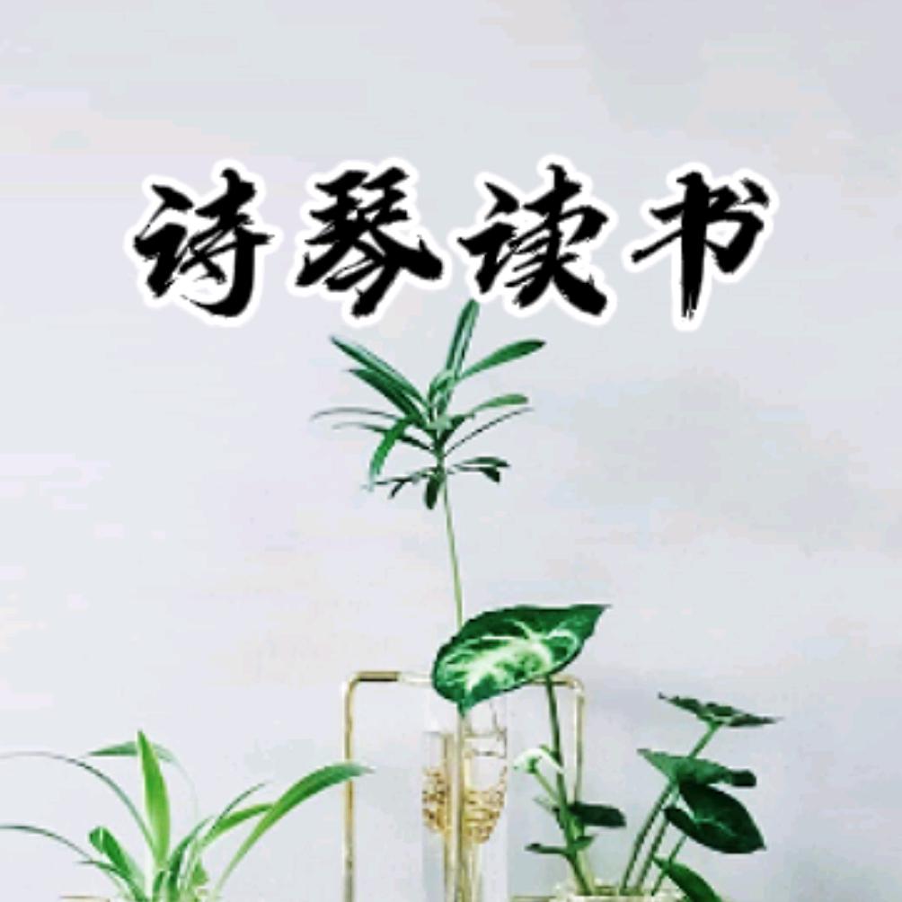 诗琴(手机剪辑)