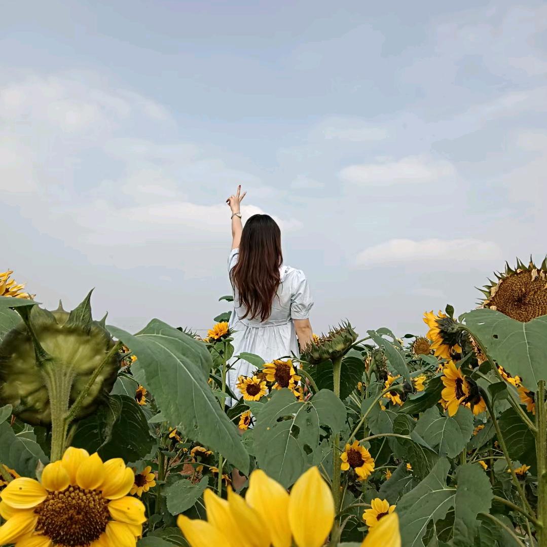 家具，补漆，美容，修复，🌺