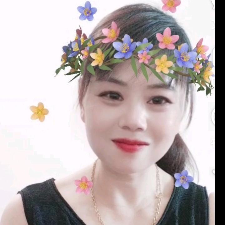 莲语禅心1066