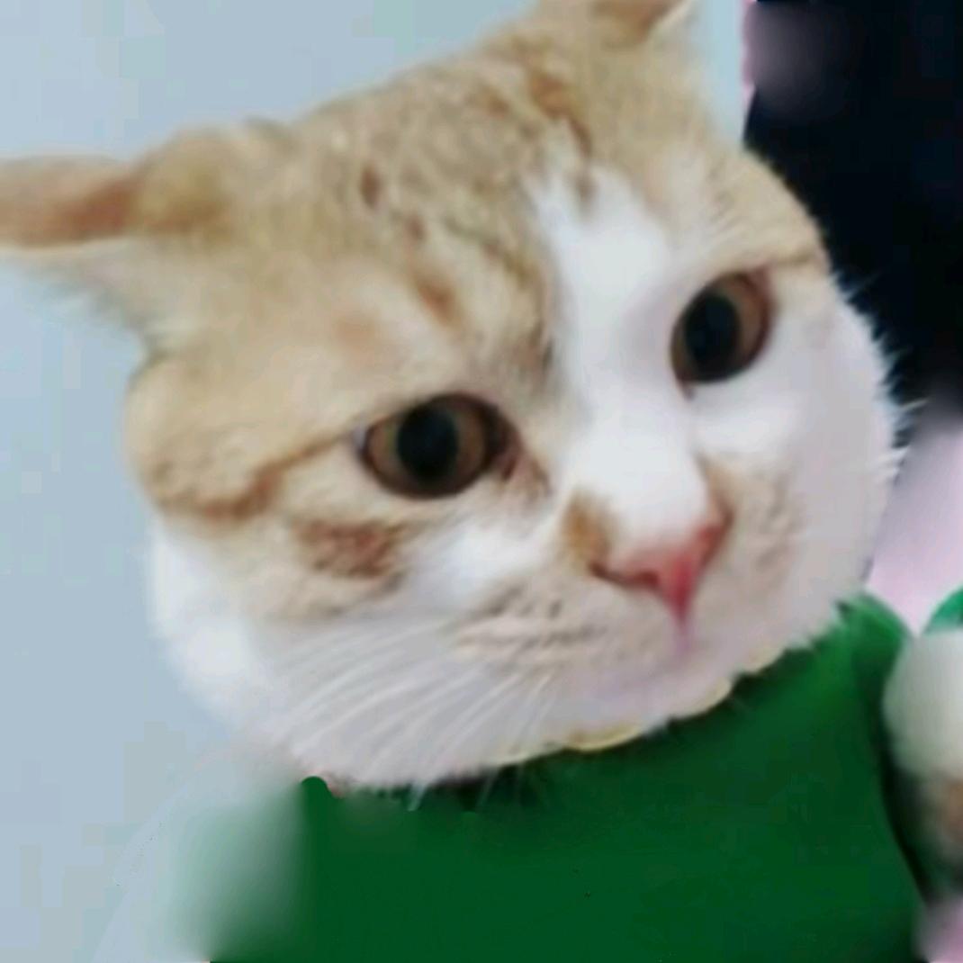 东北驴猫