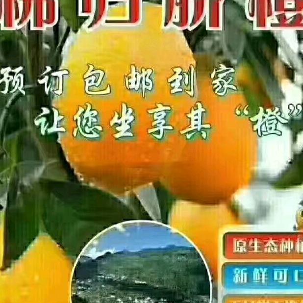 跑山阿勇