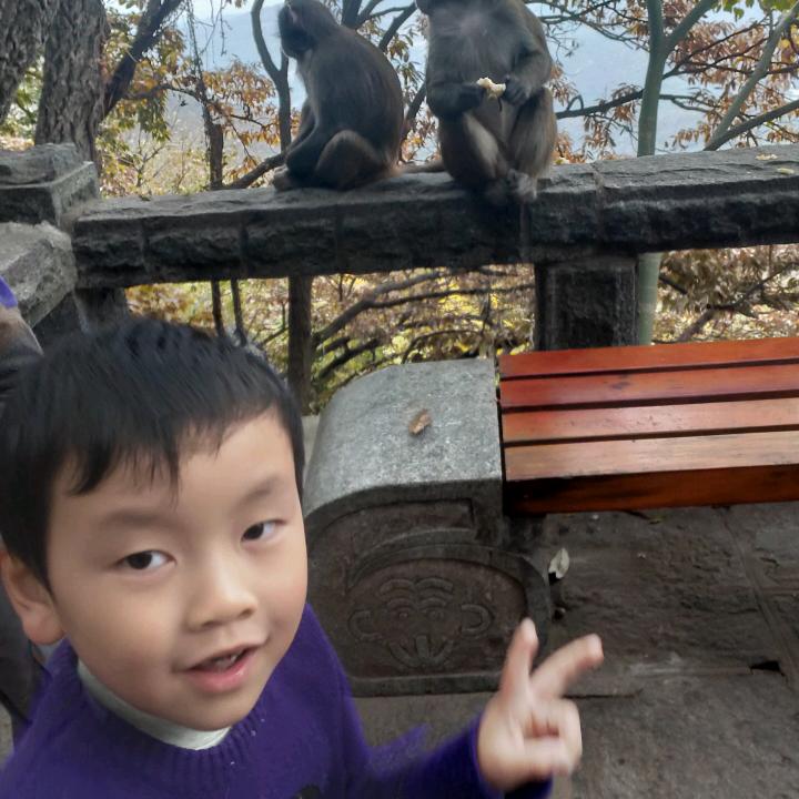 时光飞逝