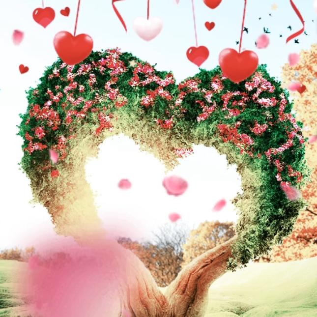 🌹新的一天💞明天更美丽🌹