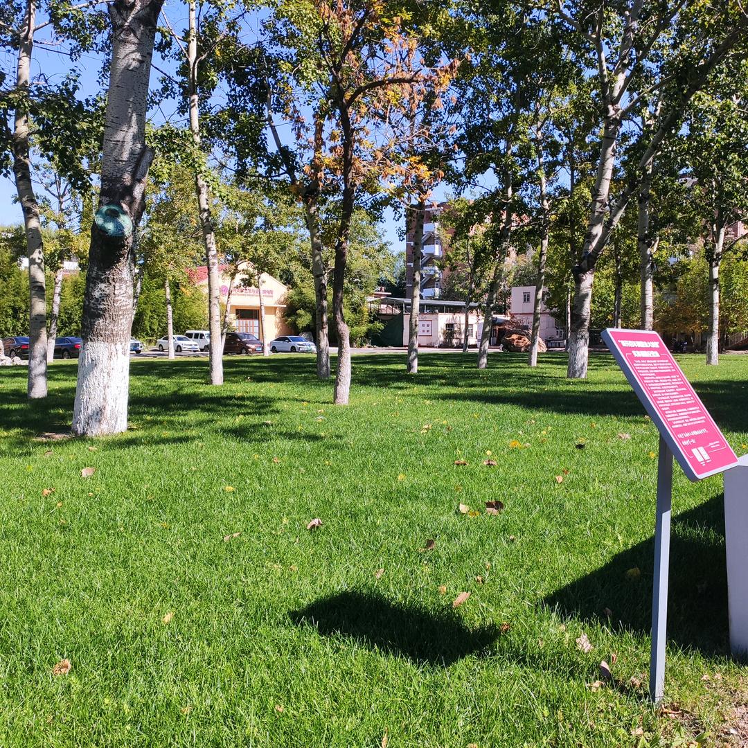 🌟🌙平安喜乐🎉