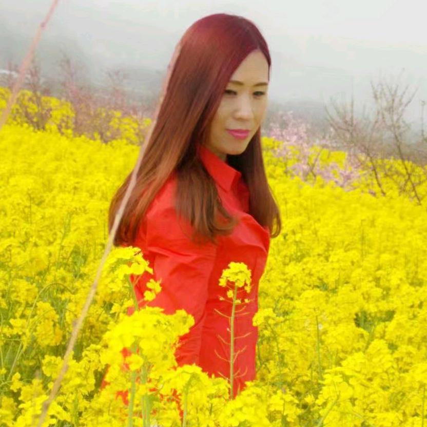 芸梦