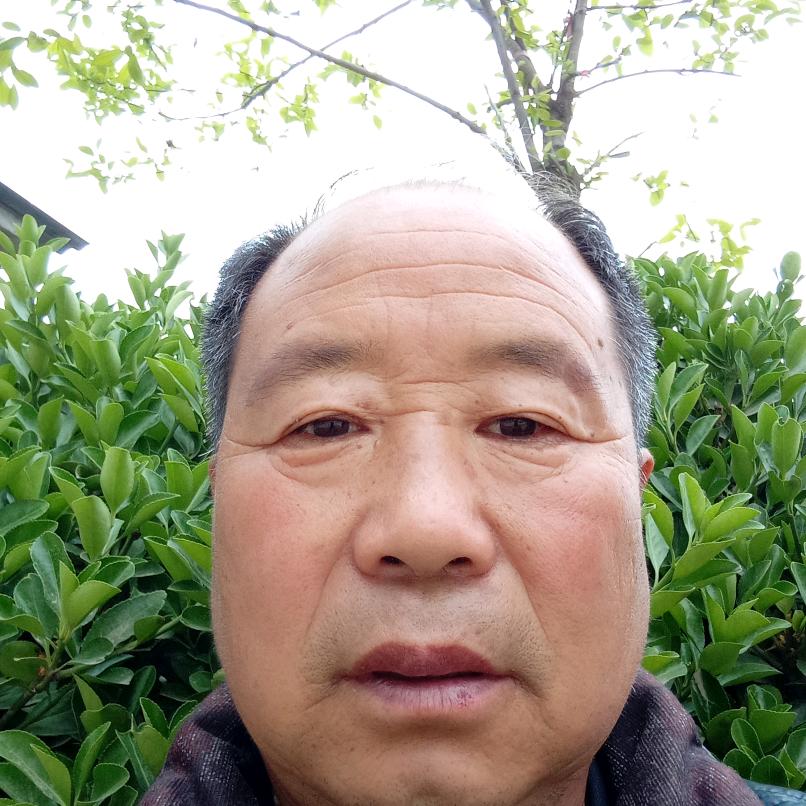 申作俊