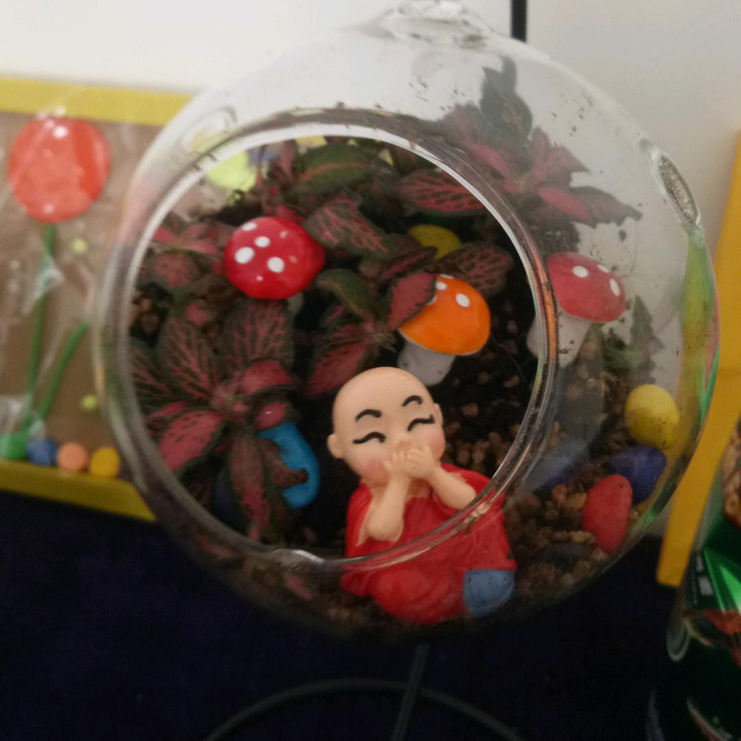 正阳