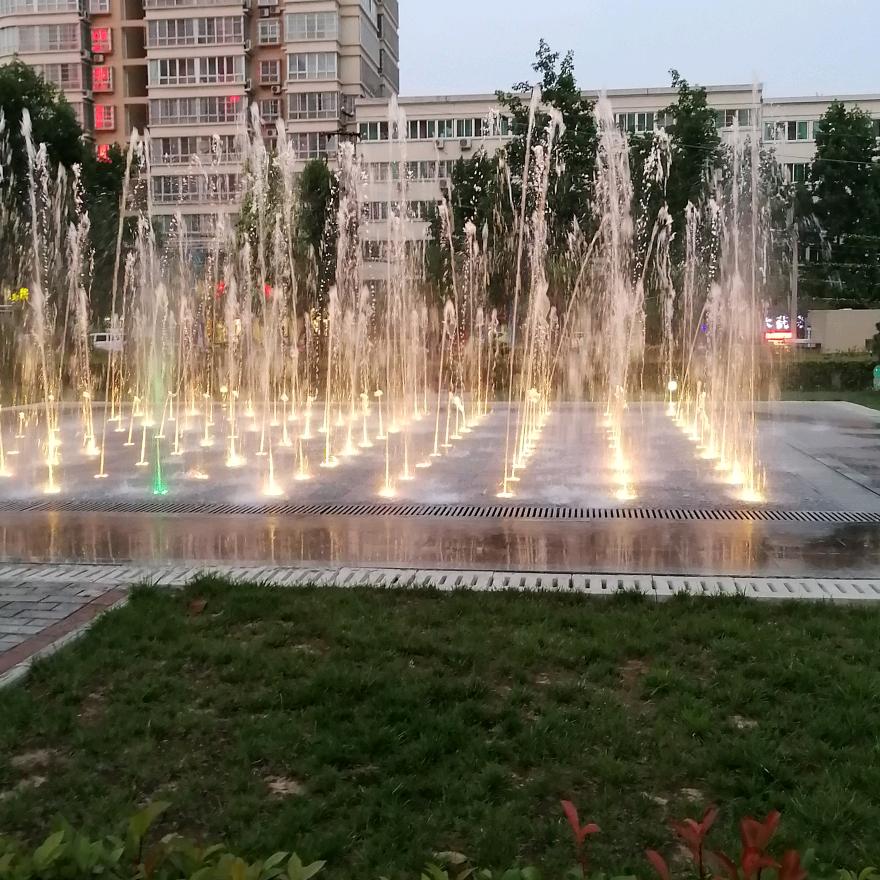 （会飞的鸽子）