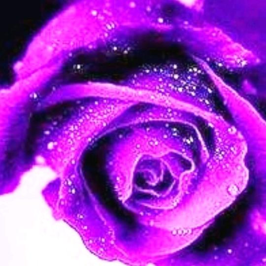 王莉（写意国画）