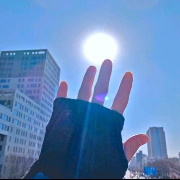 🌺☘️触摸阳光☀🌞