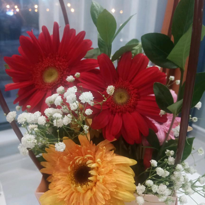 ❤️ꦿ໊余生᭄🕊随心᭄ꦿᩚ٭