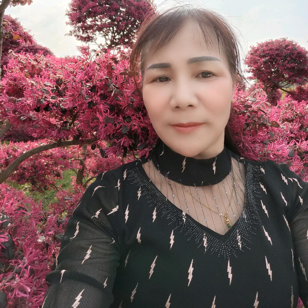 红豆
