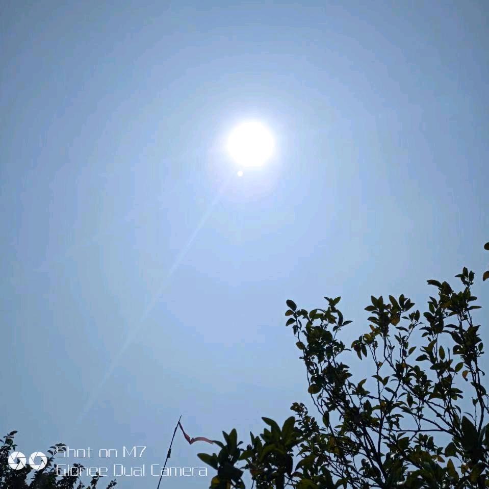 七公主22