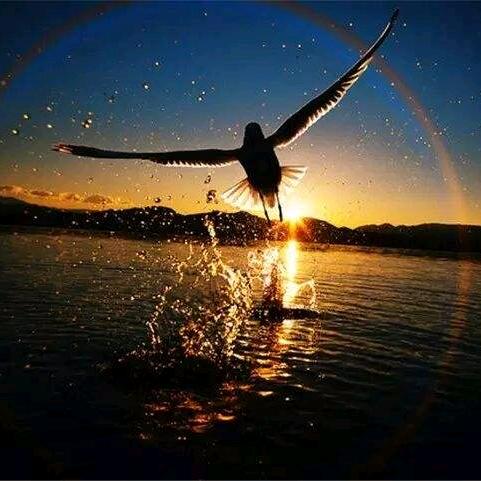 永恒眰恦