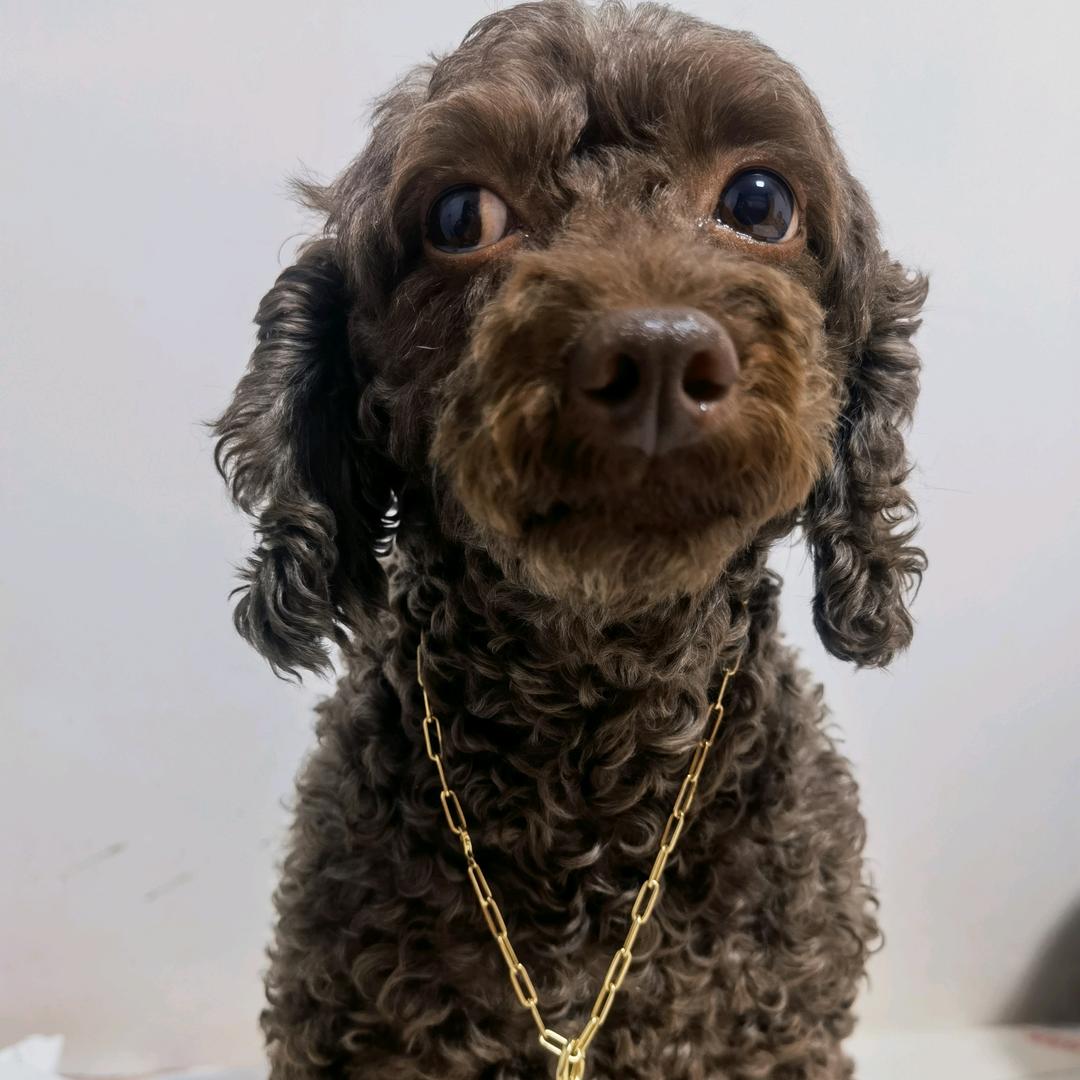 LULU sama