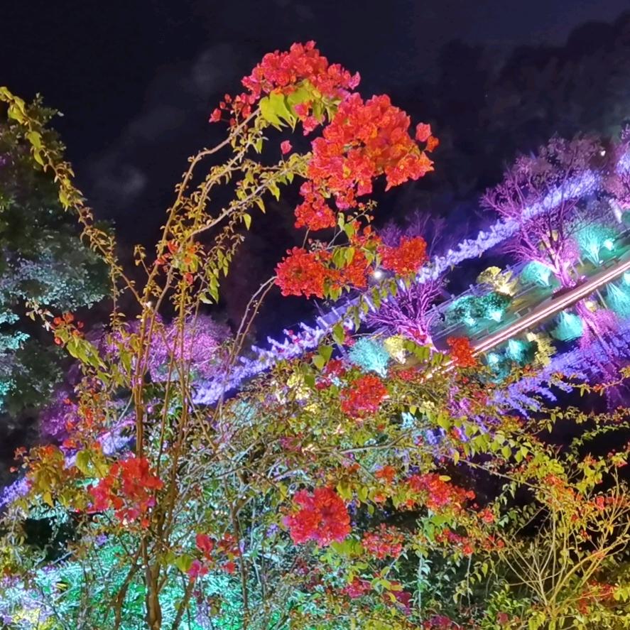 好人就一生平安