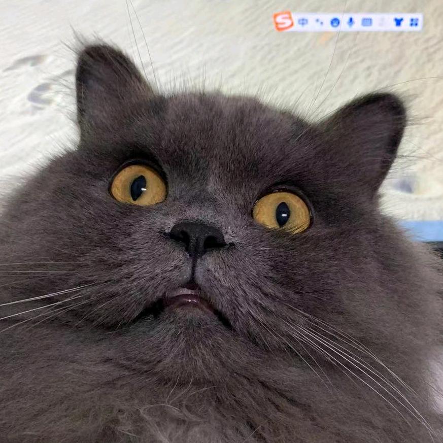 七只喵的老母