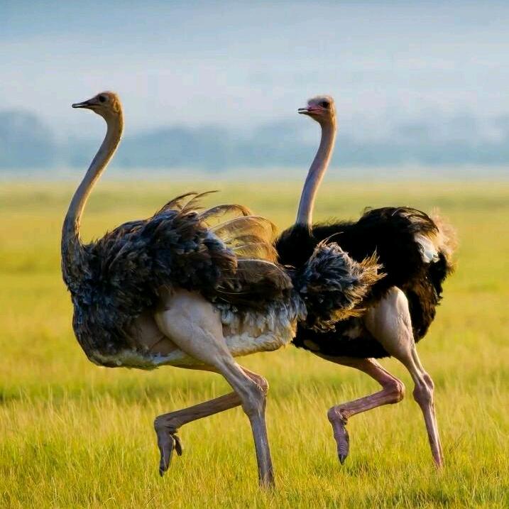 Xamar好物分享坊