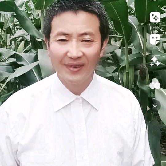 农村哥