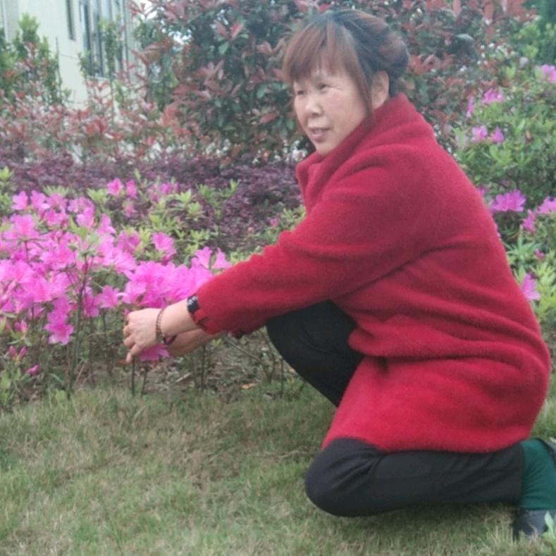 樊、玉兰