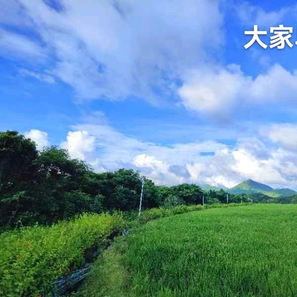 声遇是缘