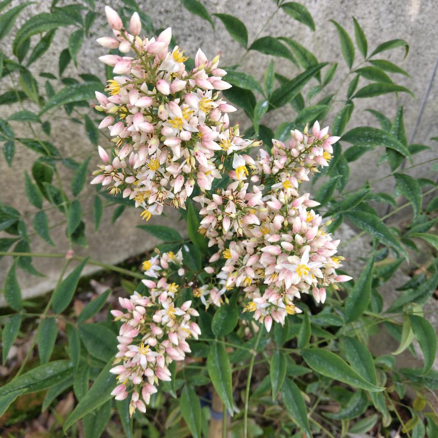 不枉此生