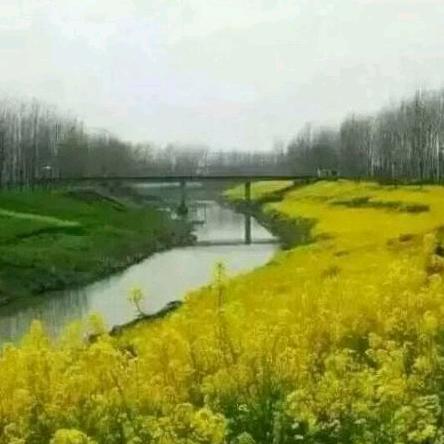 无极人生