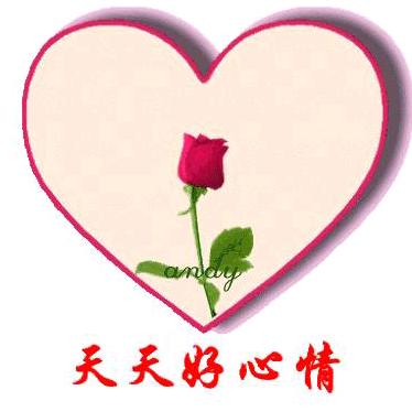 相遇是缘
