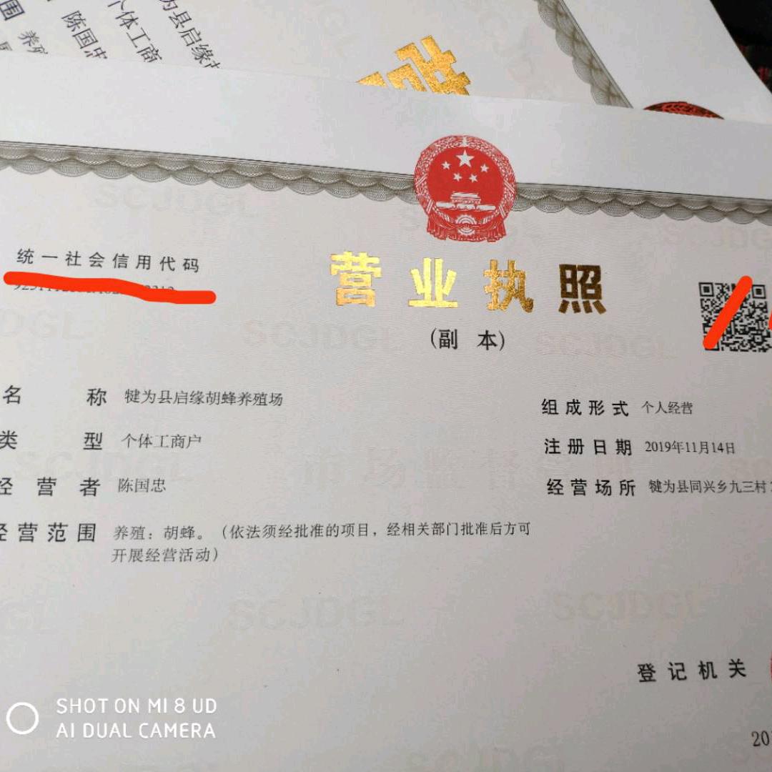 犍为县启缘胡蜂养殖场