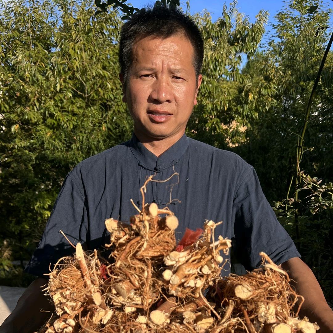 白水洋青草药