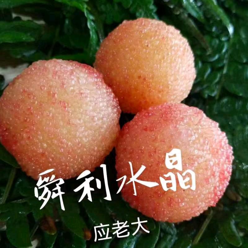 应老大家庭农场