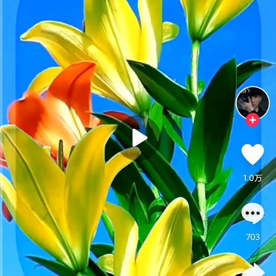 @꧁💞ღ᭄谢꧔ꦿ᭄ 💞꧂:谢 ꧁💞