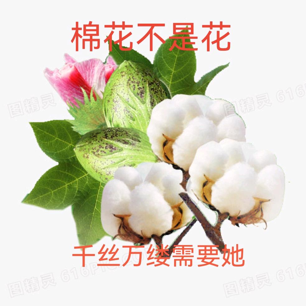 尚源优品