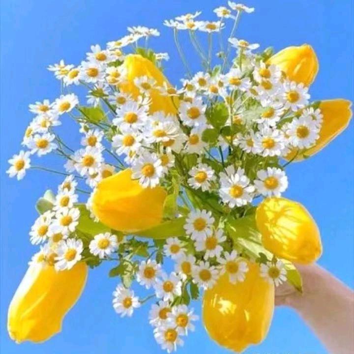 帅气的我遇见可爱的你