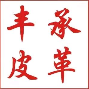 安徽丰承新材料科技有限公司