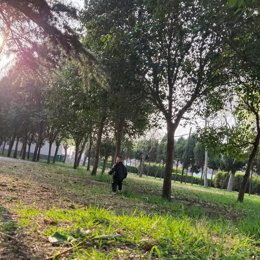 高山好水果-晋优农品