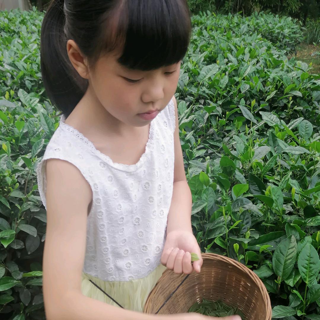 艾小琴